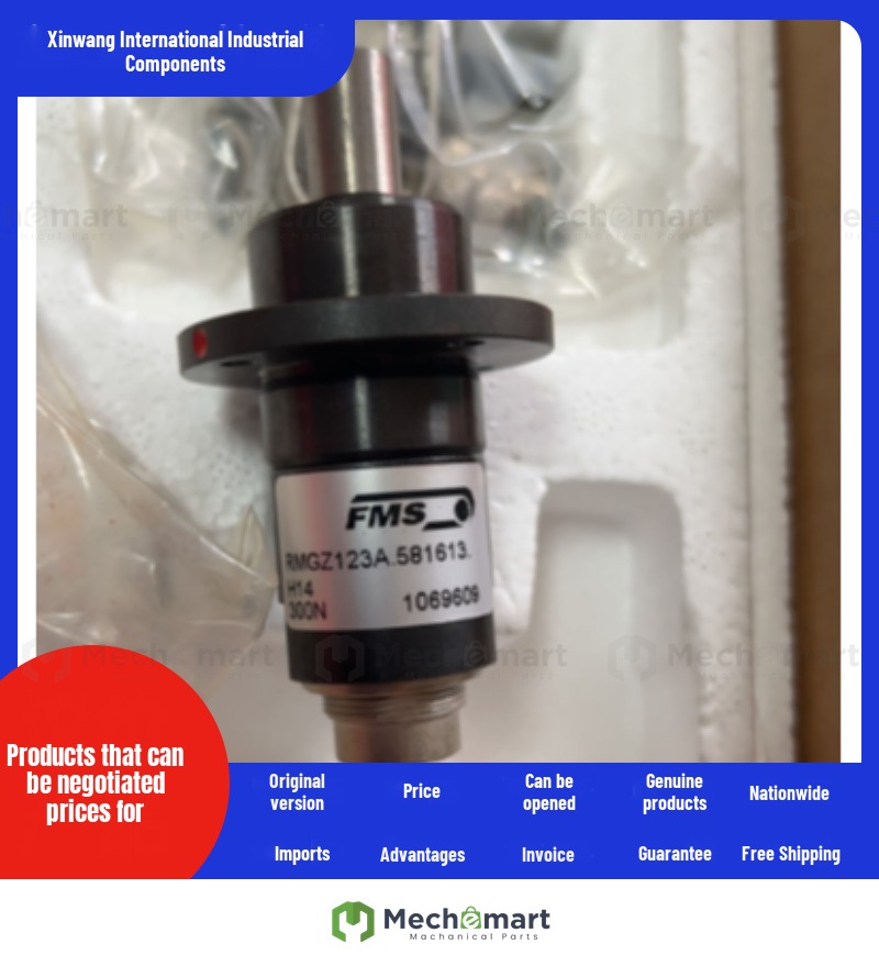 FMS tension sensor RMGZ123A.581613.H14 300N