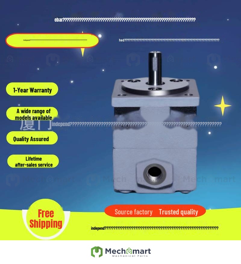 Xianju Yongling YLC medium pressure vane pump YB-D20 YB-D25 YB-D31.5 YB-D40 YB-D50