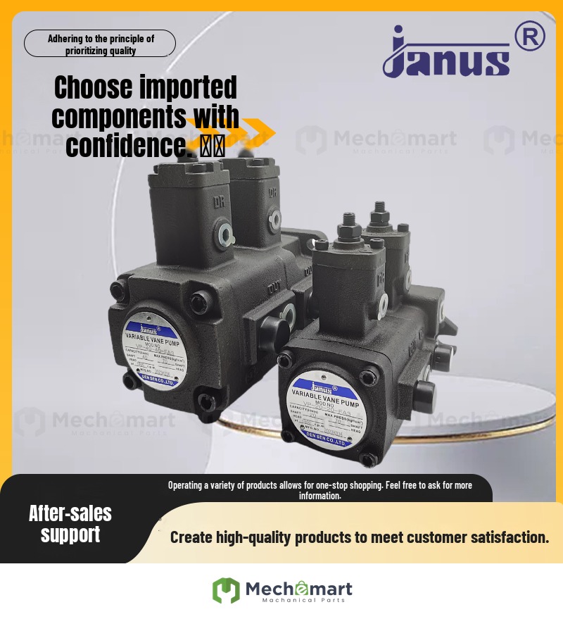 JANUS Taiwan Dengsheng VP-20-20-FA3 FA2 FA1 30-30 40-40 15-15 duplex vane pump