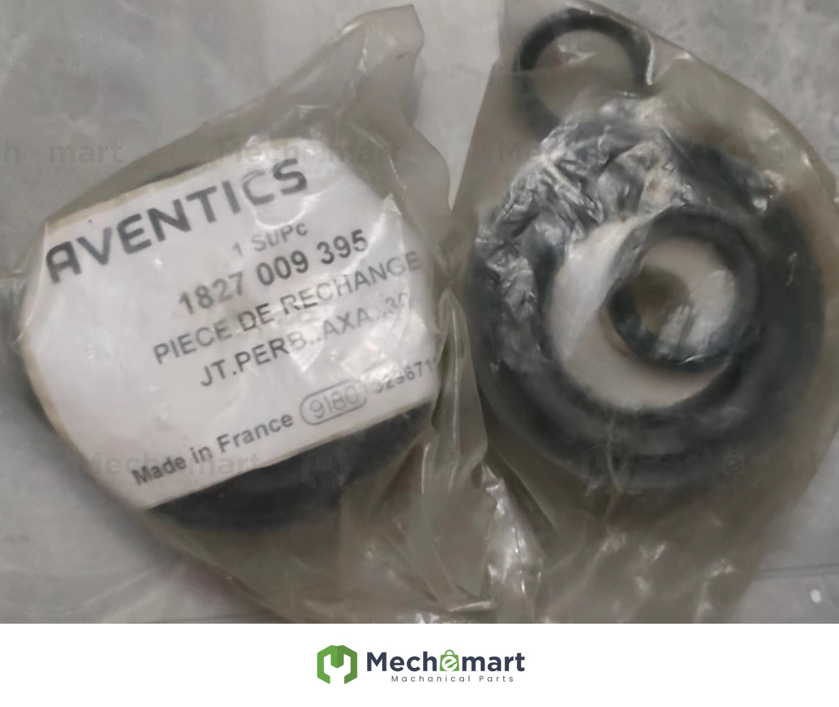 AVENTICS 1827009395 cylinder repair kit