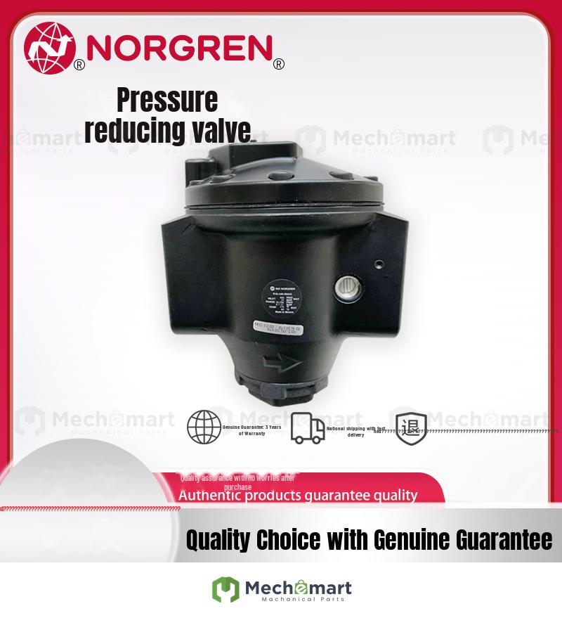 R40-205-RNSA control valve NORGREN GAS R18-B24-RNSA/B34/C24/C34 NORGUN B05