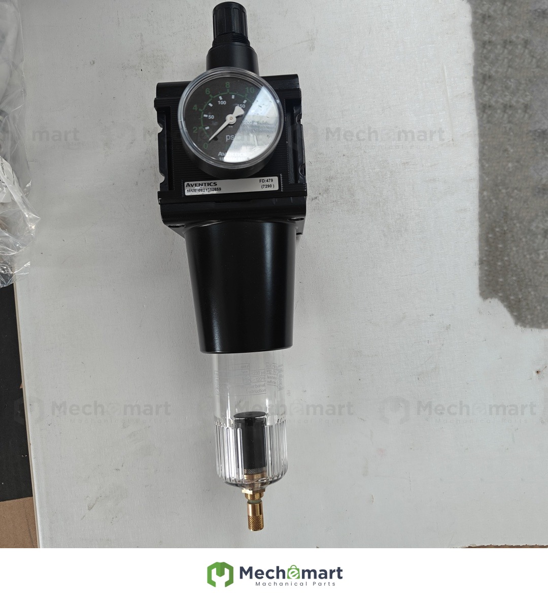 AVENTICS Series 0821300859 Filter Pressure Regulator NL6-FRE